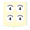 examiner 4 stickers
